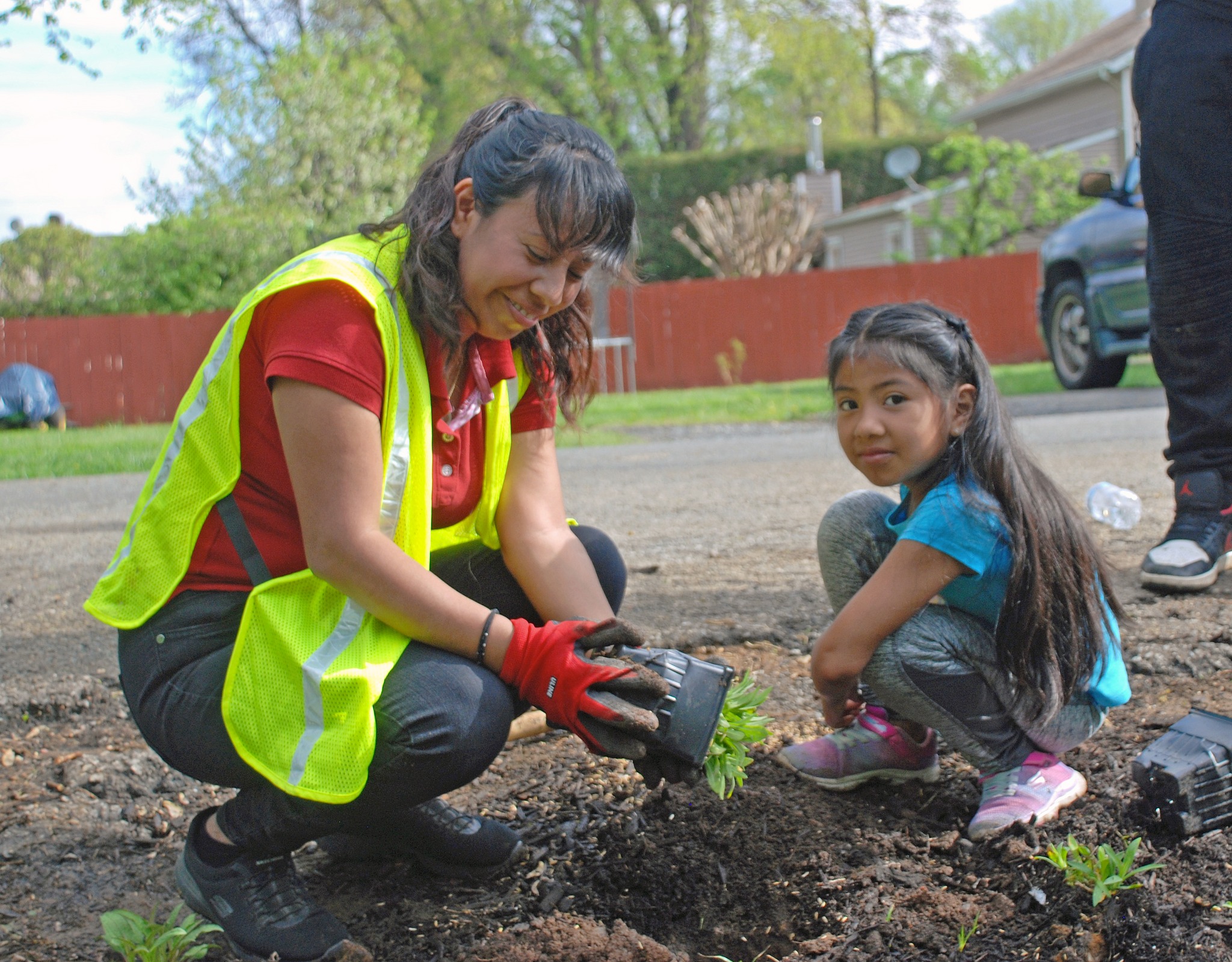 planting a tree